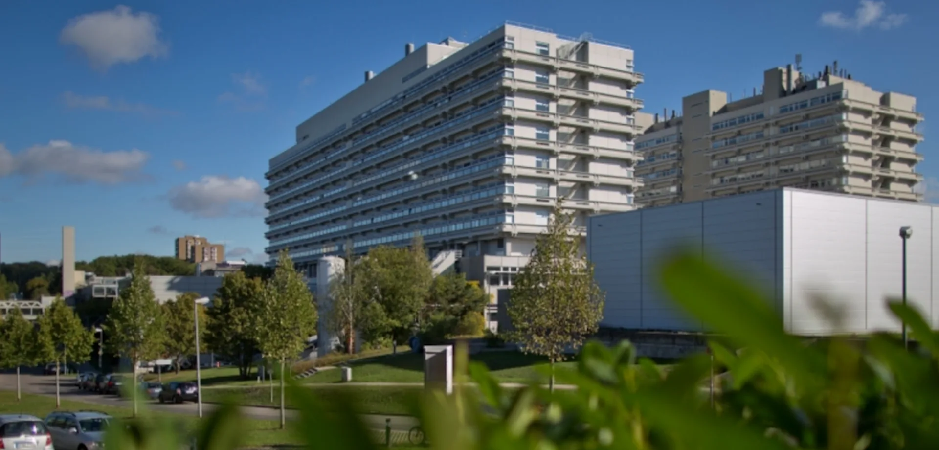 Stuttgart University Scholarships 2025: Financial Support for International Students in Germany